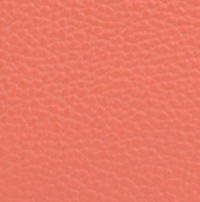 Mini bolso de mano Lucca Pebble