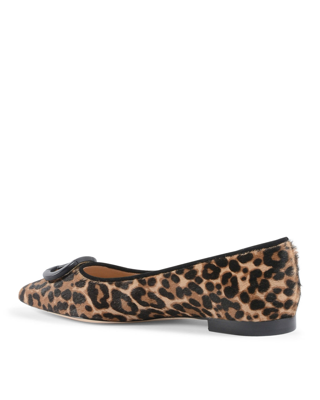 Bailarina leopardo de la jungla