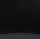 Bomba de hada con logotipo - Negra