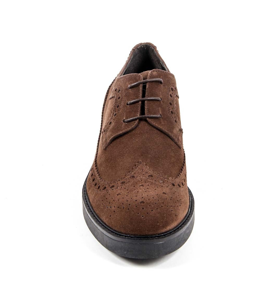 V 1969 Italia Zapato Brogue para Mujer B1670 TERCIOPELO MARRÓN