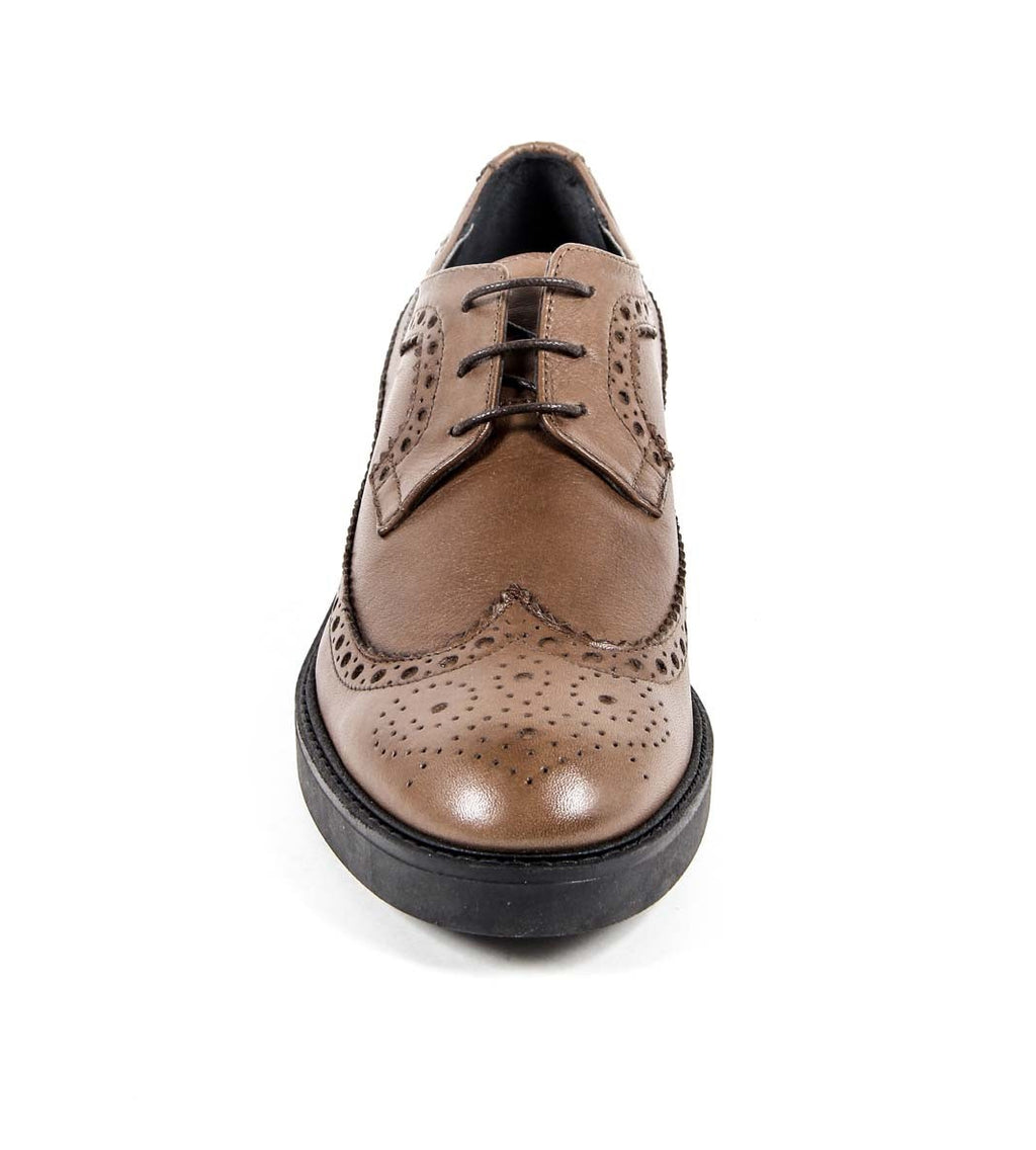 V 1969 Italia Zapato Brogue para Mujer B1670 VITELLO MARRÓN