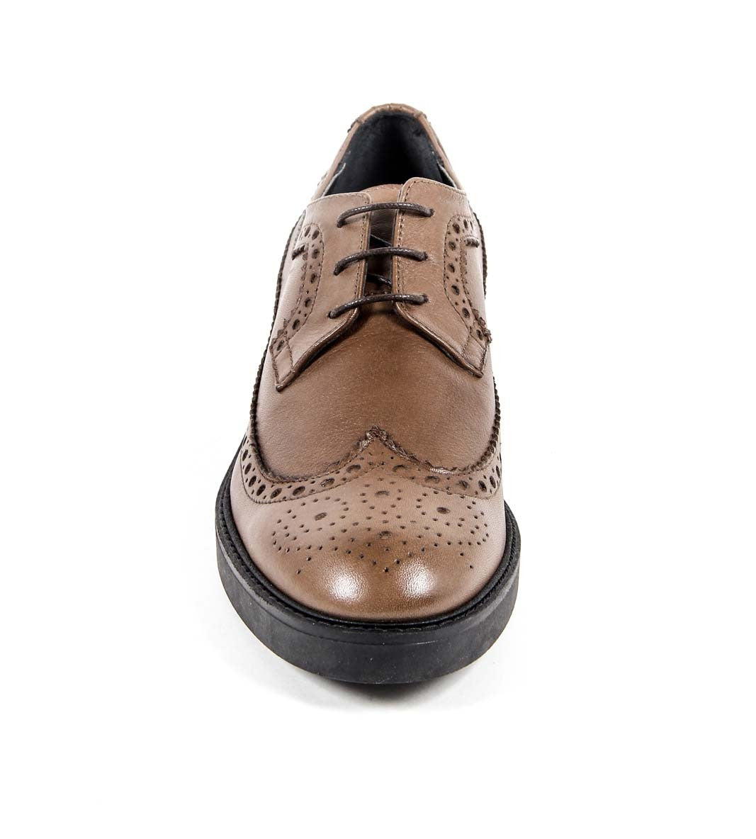 V 1969 Italia Zapato Brogue para Mujer B1670 VITELLO MARRÓN