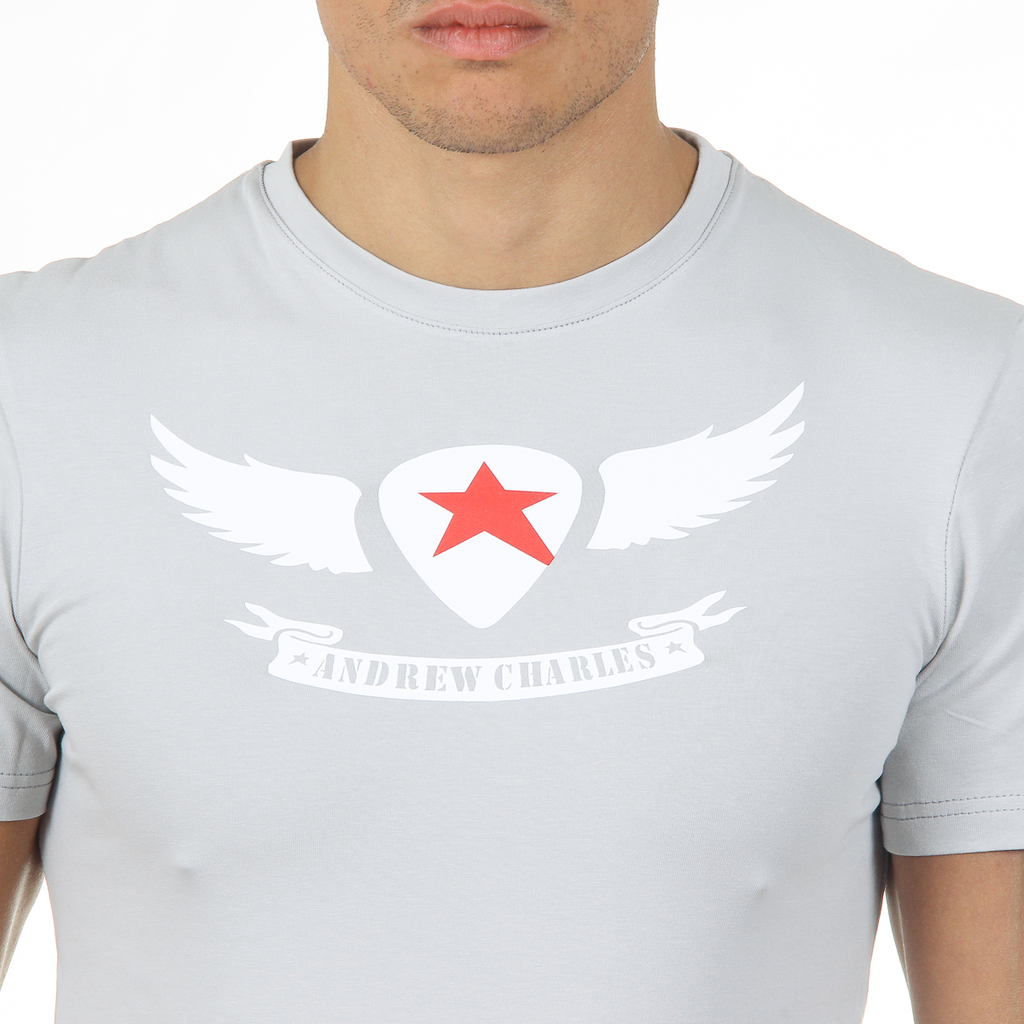 Camiseta Andrew Charles para hombre, manga corta, cuello redondo, gris claro, KEITA