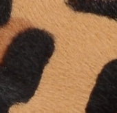 Bomba de hada con logotipo de leopardo