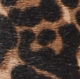 Bailarina leopardo de la jungla