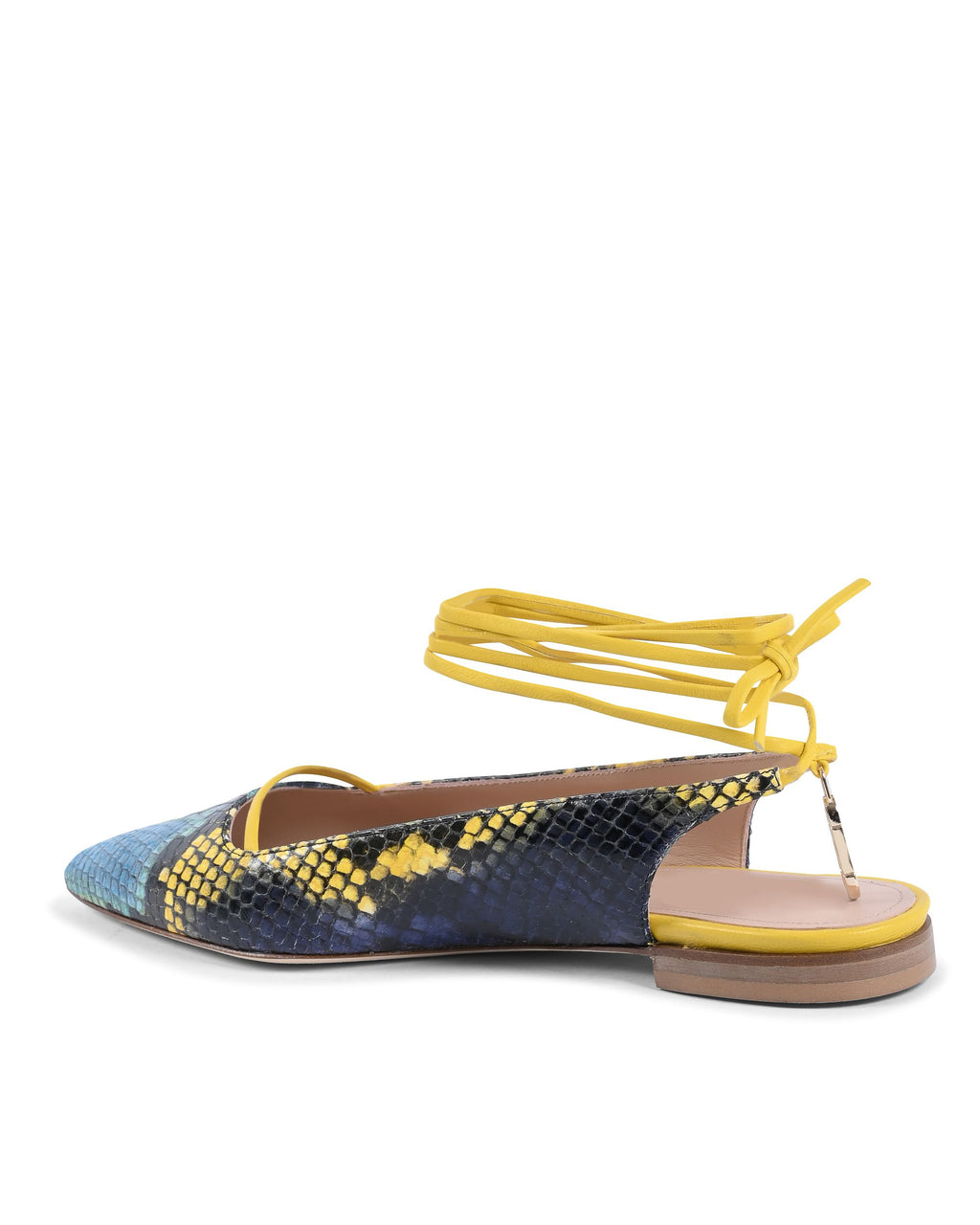 Brenda Flat Python - Azul/Amarillo 