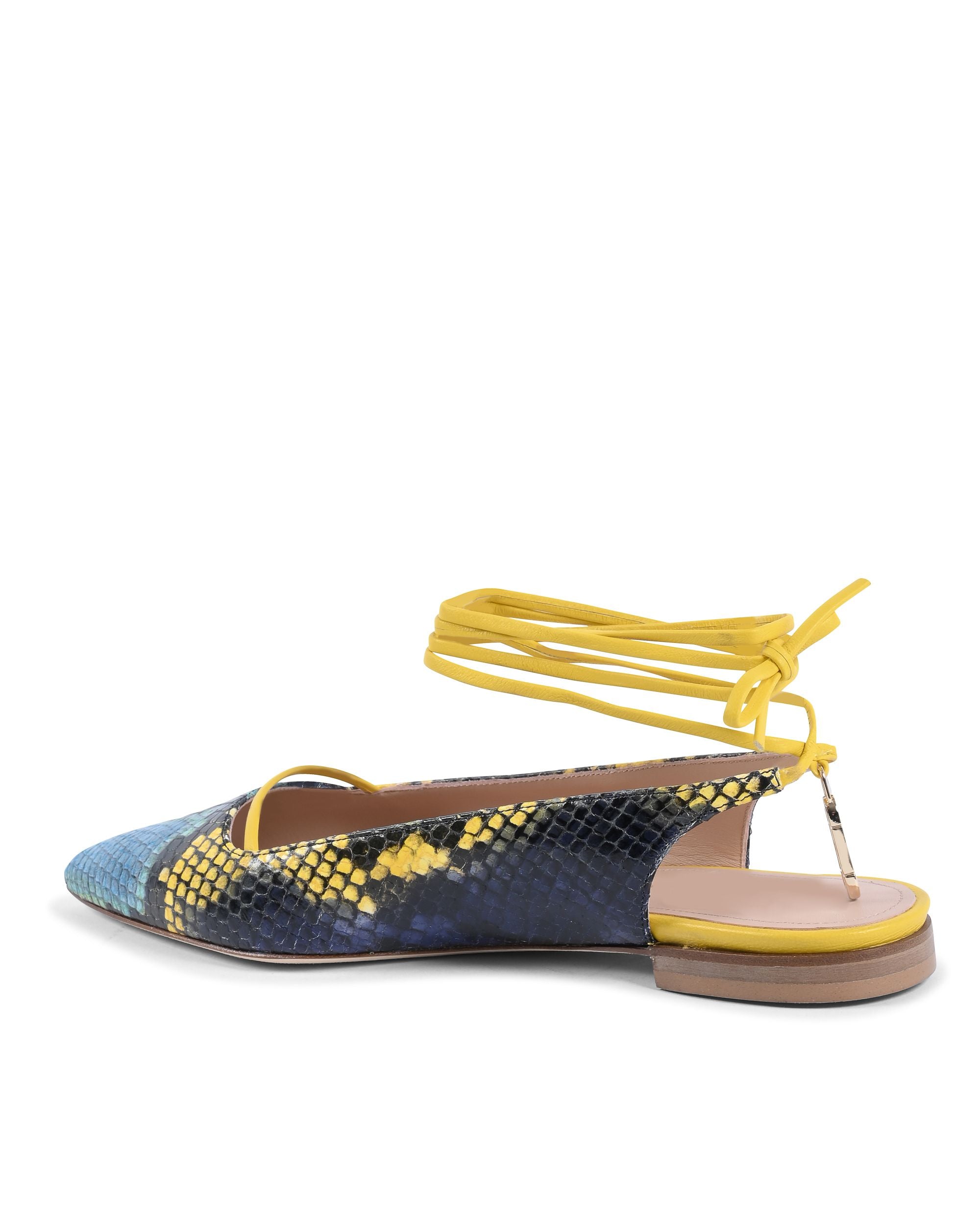 Brenda Flat Python - Azul/Amarillo 