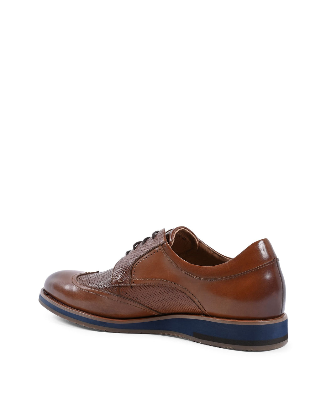 19V69 Italia Brogue para hombre Marrón YO ZD28-H27 TABACO