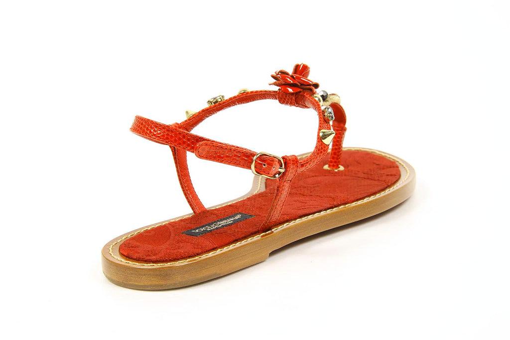 Tangas Dolce & Gabbana para mujer C19429 A6588 89902