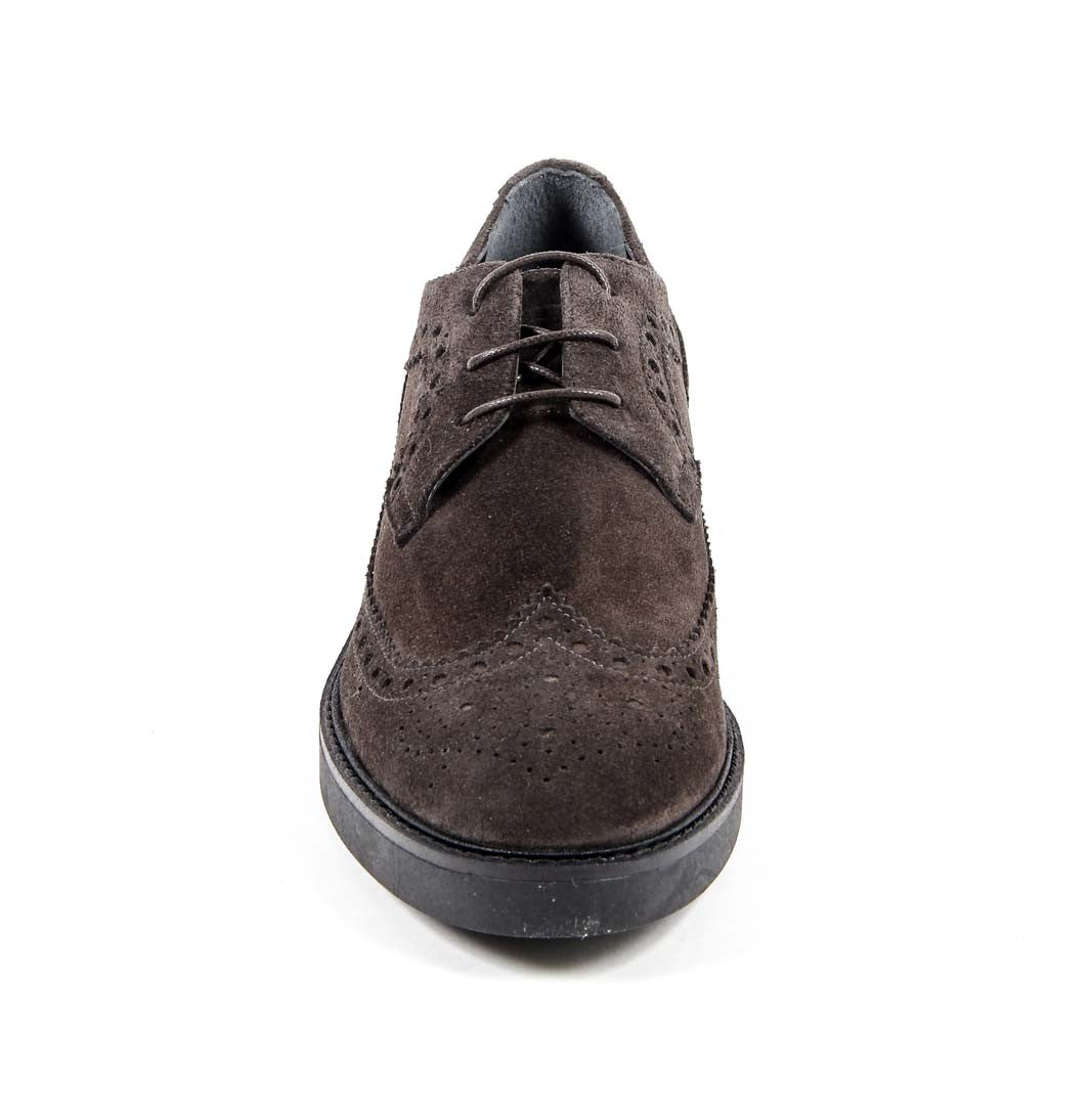 V 1969 Italia - Zapato brogue para mujer B1670 VELOUR TAUPE